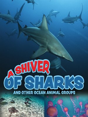 cover image of A Shiver of Sharks